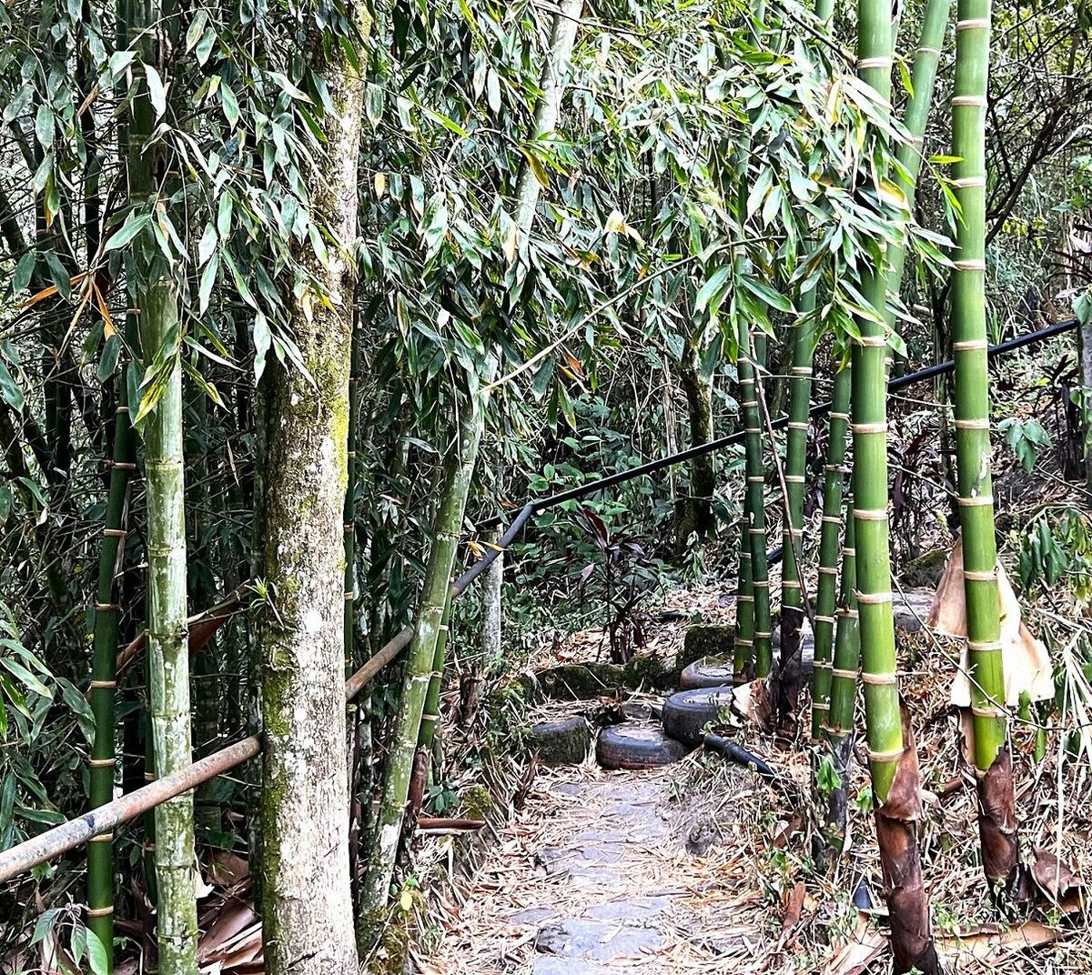 知られざる山奥の秘湯に一緒に入ろう！コロンビアで超豪快な「最も高熱な滝湯」につかる