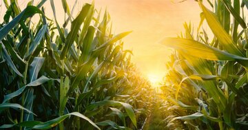 なぜ一流の富裕層は、モノよりも「食体験」にこだわるのか