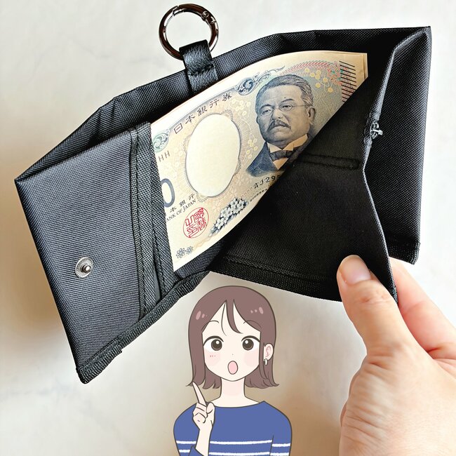 小銭やお札が取り出しやすい！ダイソーの「スマホより小さいミニ財布」カードが12枚入って便利！《購入レビュー》