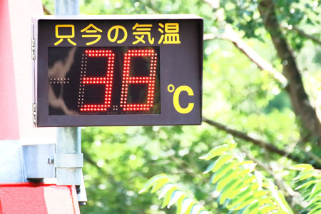 異常な暑さが続いています