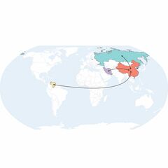 「制裁逃れの枢軸」米国が意図せず創出した闇経済