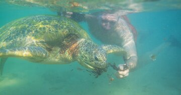 ウミガメを生で食べ、肛門から水分を摂取して生き延びる……。椎名誠に聞く「漂流者たちのおどろきの食事」