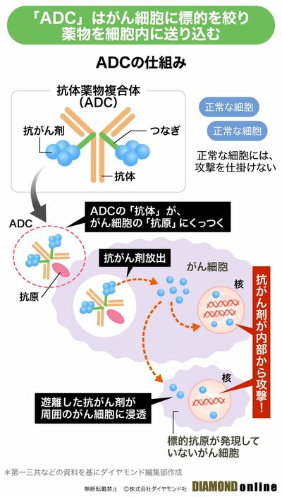 図表：ADCの仕組み