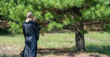 「すぐに結果を求める人」と「着実に伸びる人」住職が教える決定的な違い