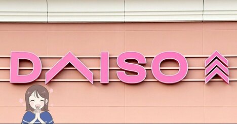 カードや診察券が72枚入った…！ダイソーの「めちゃ軽ウォレット」ポケットたくさんで収納力バツグン！