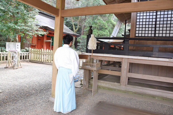 鹿島神宮でお祓い