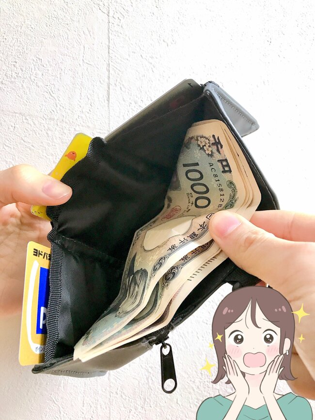 もう普通の財布に戻れないかも…！ダイソーの「お札が入るミニ財布」ガバッと開いて使いやすい！
