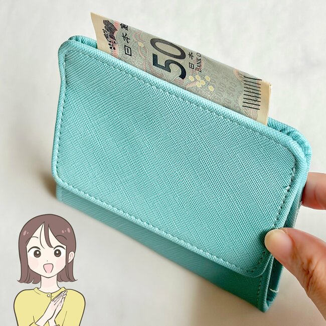 「色違いで2つ購入」3COINSの“ぺたんこ財布”コンパクトなのにカードが15枚入った！「薄くて軽い」「小さいカバンでも全然入る」
