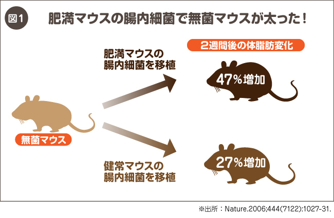 他人のウンチ移植で腸炎完治 腸内細菌 の神秘 ニュース3面鏡 ダイヤモンド オンライン