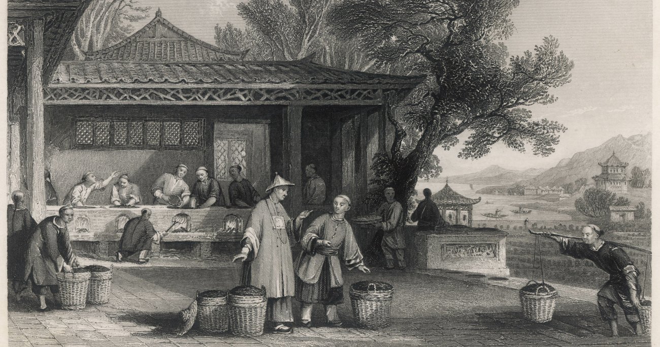 お茶の世界史「植民地貿易」の残酷な歴史とは？ - 経済は統計から学べ！
