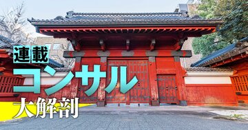 東大・京大・早慶…トップ12大学「IT・SIer就職者数」大公開！【2025年版】NTTデータは400人超え！減速感漂うコンサルとは対照的