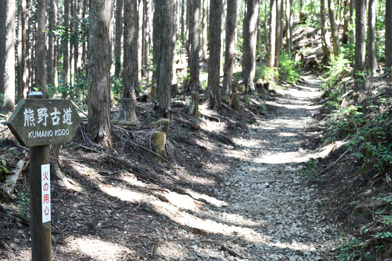 【想定外！】世界の富裕層が熊野古道に求めた“とんでもない旅のスタイル”とは？