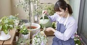 洗濯物でいっぱいのベランダが風水的にもったいない理由