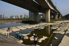 台湾で干ばつ深刻化、世界の半導体不足に拍車も