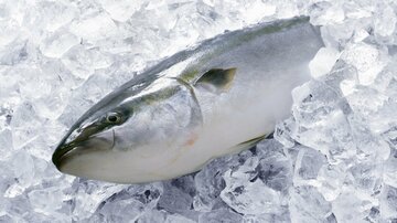 「氷風呂」を30日続けたらどうなる?疲れを癒した挑戦者が冷静に語った「ありきたりな感想」