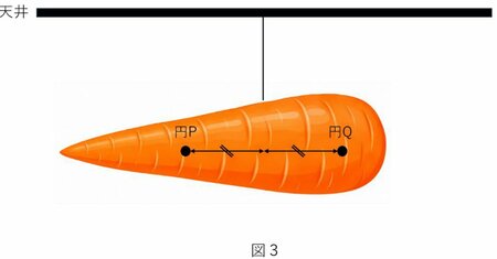 【中学受験の良問・理科】「ニンジンを吊り下げた糸の位置を変えるとニンジンはどうなる？」中学受験最高峰・筑駒で類題の「てこ」の問題