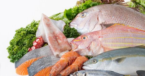 学力とIQが上がる！頭のいい子が食べている「すごい食品」【小児科医が教える】