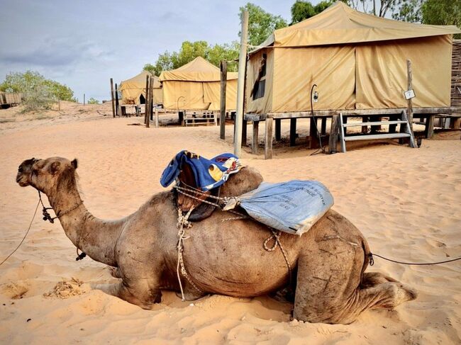 「セネガル」で砂漠に沈む夕日を見ながらテント泊！青空トイレとシャワーは意外に快適