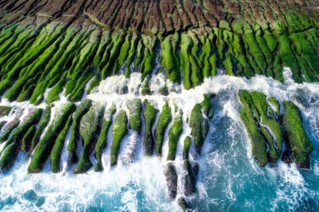 台湾の海岸にある海藻で覆われた老梅緑石槽（グリーン・リーフ）