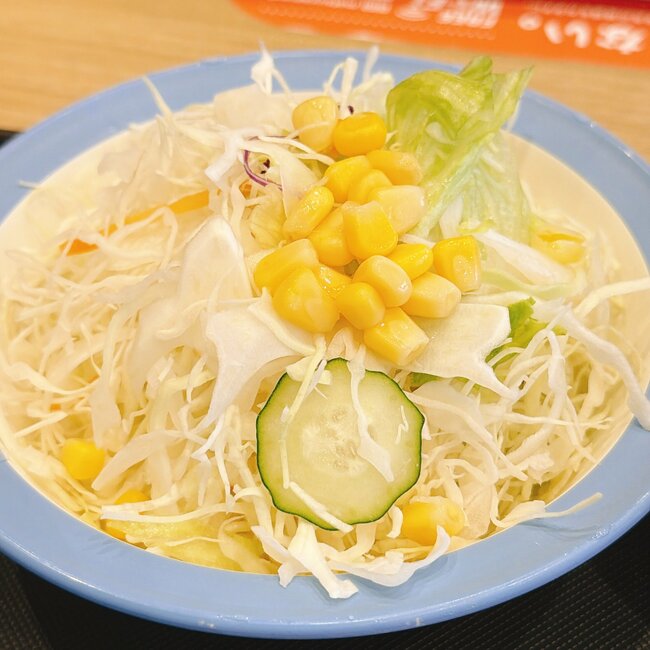 「腹パンすぎ」松屋の“ハンバーグ2枚重ねメニュー”が反則級！お肉がジューシーで箸が止まらない！《実食レビュー》