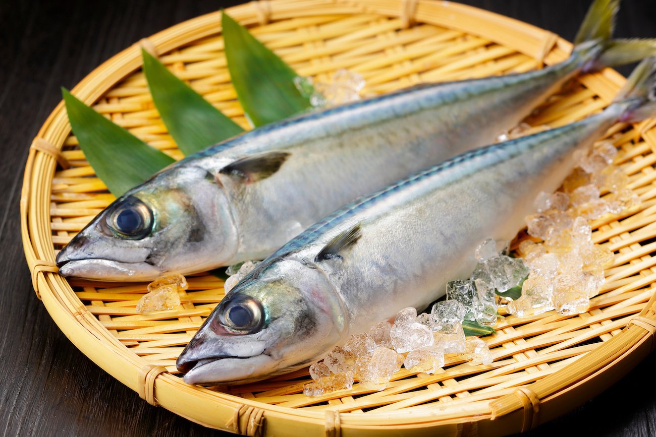 【小児科医が教える】「魚の消費量」が減少中!「子どもの脳」に多大な影響あり