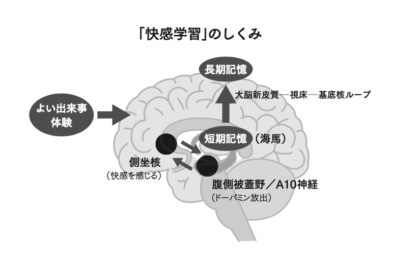 【脳科学の新常識】外向型の人はなぜ「ポジティブ思考」になりやすいのか？