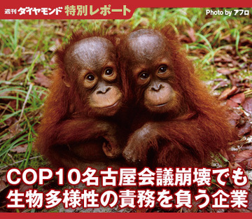 COP10名古屋会議崩壊でも生物多様性の責務を負う企業