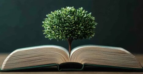 日本人に足りないのは「人権意識」ではなく「人権知識」だ