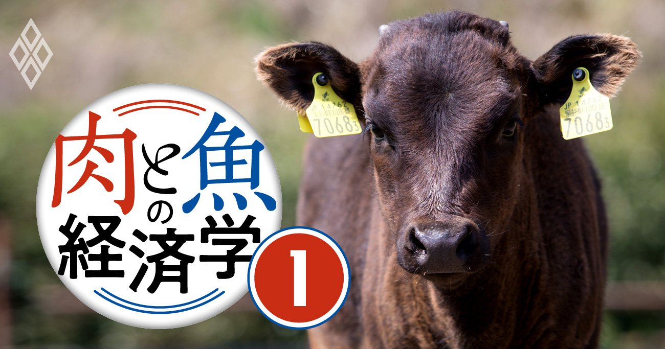 肉と魚の経済学#1