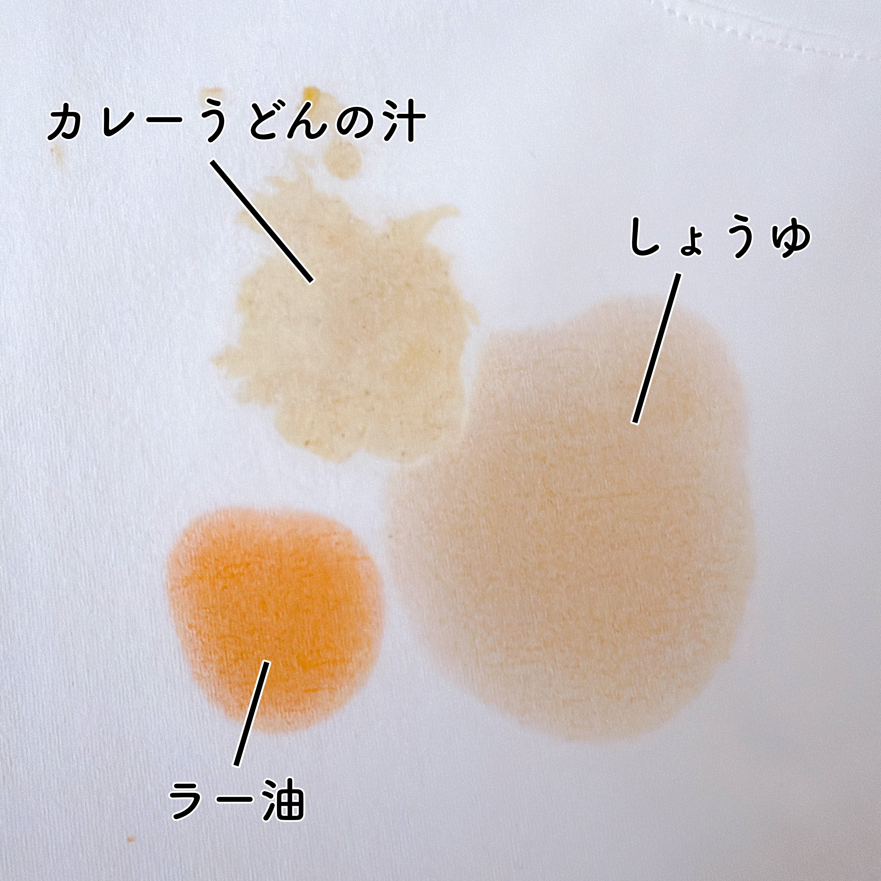 【ワークマン】しょうゆのシミが1度で消えた！980円の「汚れが落ちるTシャツ」の凄すぎる実力《購入レビュー》