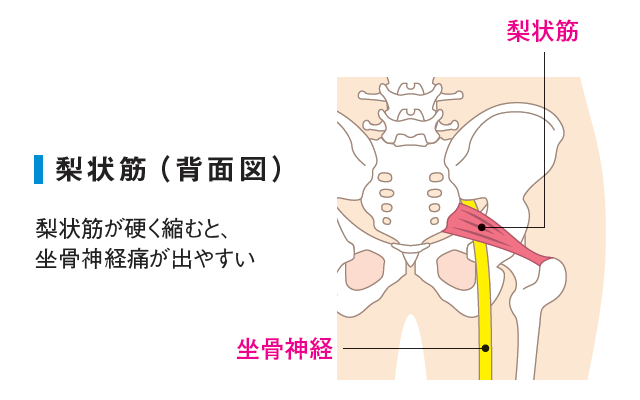 「硬い骨盤」は不調のはじまり?【整体プロが教えたい】女性の美と健康に欠かせない「開閉力」とは?