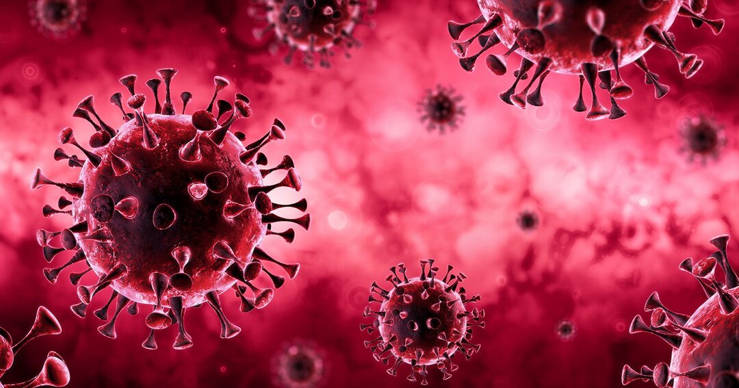 感染を抑えることで「ウイルス」は弱毒化に向かって進化する | 若い読者に贈る美しい生物学講義 | ダイヤモンド・オンライン