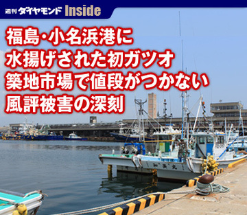 福島・小名浜港に水揚げされた初ガツオ築地市場で値段がつかない風評被害の深刻