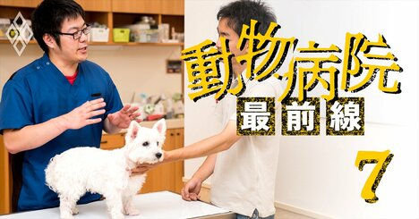 医学部並みの難易度なのに稼げなくなる？獣医師「超二極化」時代へ