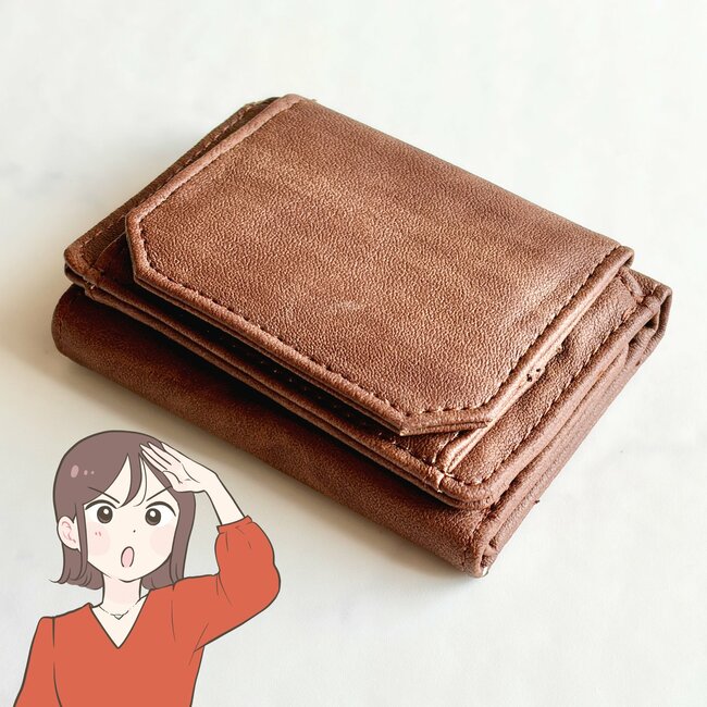 小銭が取り出しやすくて感動…！ダイソー姉妹店の「ミニ財布」ガバッと開くから、レジでの会計がスムーズになった！《購入レビュー》