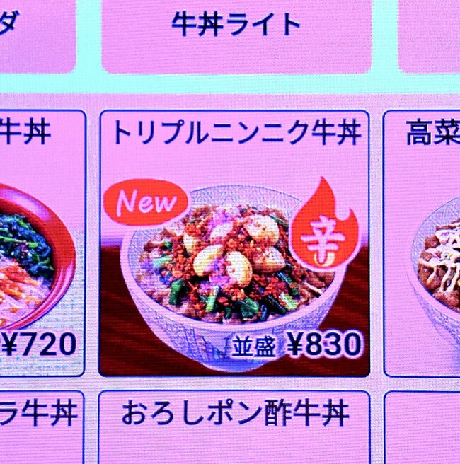 「もう5回くらい食べてる」すき家の“やけくそメニュー”美味しすぎてライス追加注文した！「クソ美味い」「好きすぎる」《実食レビュー》