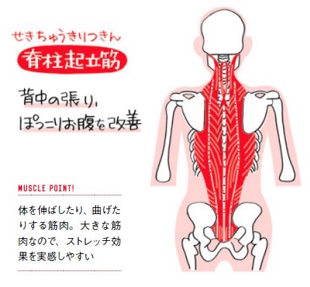 背中の張りが一瞬でとれる 神ストレッチ 座り仕事の疲れがぜんぶとれるコリほぐしストレッチ ダイヤモンド オンライン