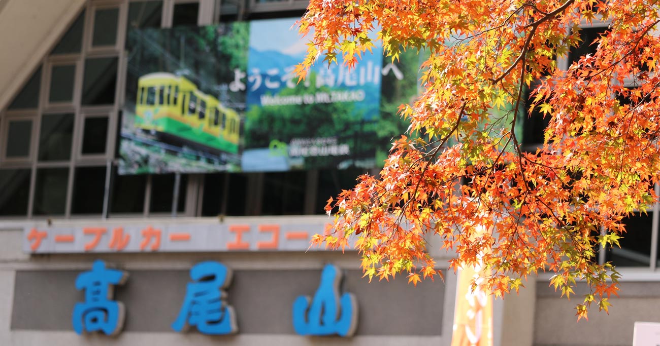 八王子市,小学校