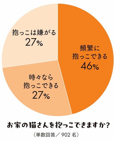 モフモフしたい…「抱っこ嫌いなネコ」の心を開く「魔法の道具」とは？