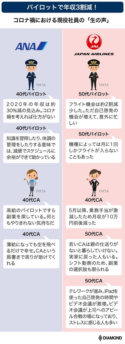 ANA 全日空 社内使用 CA クルータグ／キャビンアテンダント パイロット