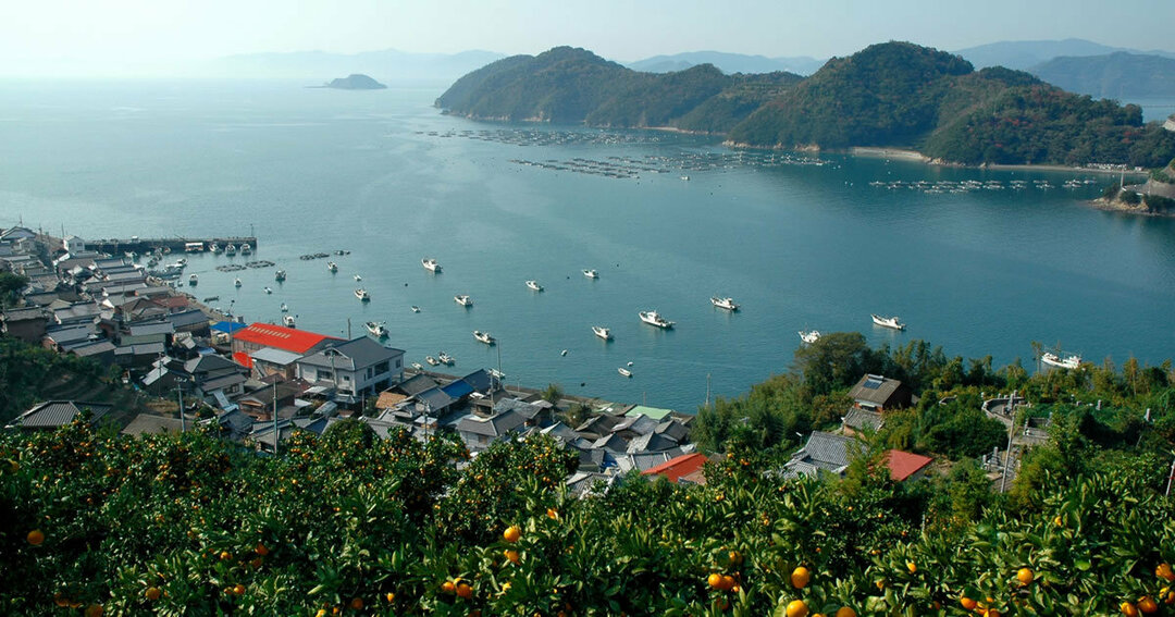 「恋人は当然、家族に紹介する」愛媛県民は地元志向?
