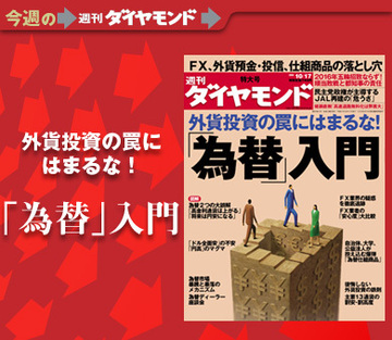 外貨投資の“罠”にはまるな!投資家のための「為替入門」決定版