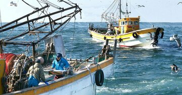 「日本は獲れた魚を大量に捨てる国」の大誤解、国連専門機関の報告に感じる「強い違和感」