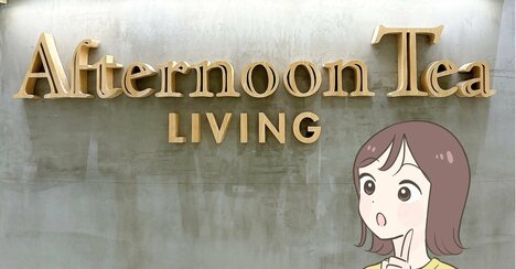 お薬手帳と診察券16枚が入った！アフタヌーンティーの「仕分けできるポーチ」病院のお会計がめっちゃスムーズになって天才…！《購入レビュー》