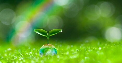 【令和八年・開運元年】60年に一度の強運を引き寄せる人が密かにやっている超シンプルだけど大切なこと