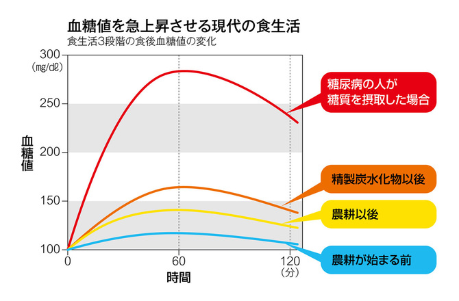 ご飯 パンを抜くのが人類本来の食事法 ダイエット メタボ対策 健康 ダイヤモンド オンライン