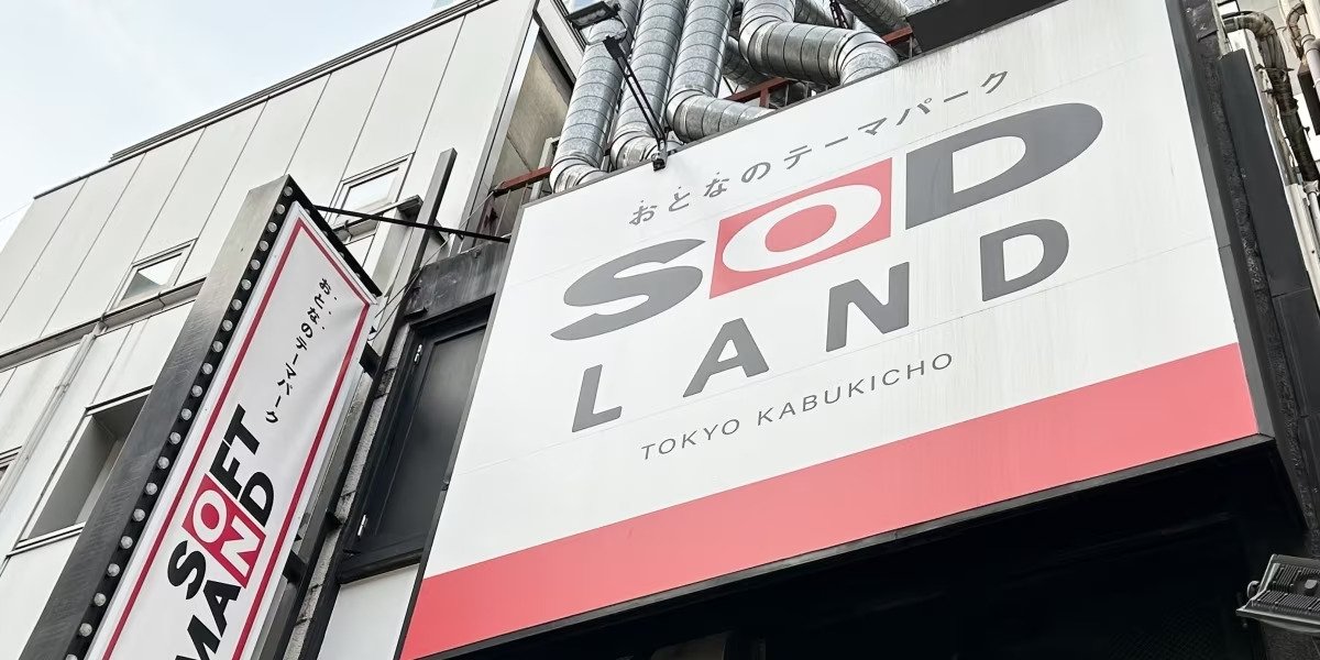 「AV女優と飲める店」運営会社の社長逮捕には裏の思惑も?弁護士が解説