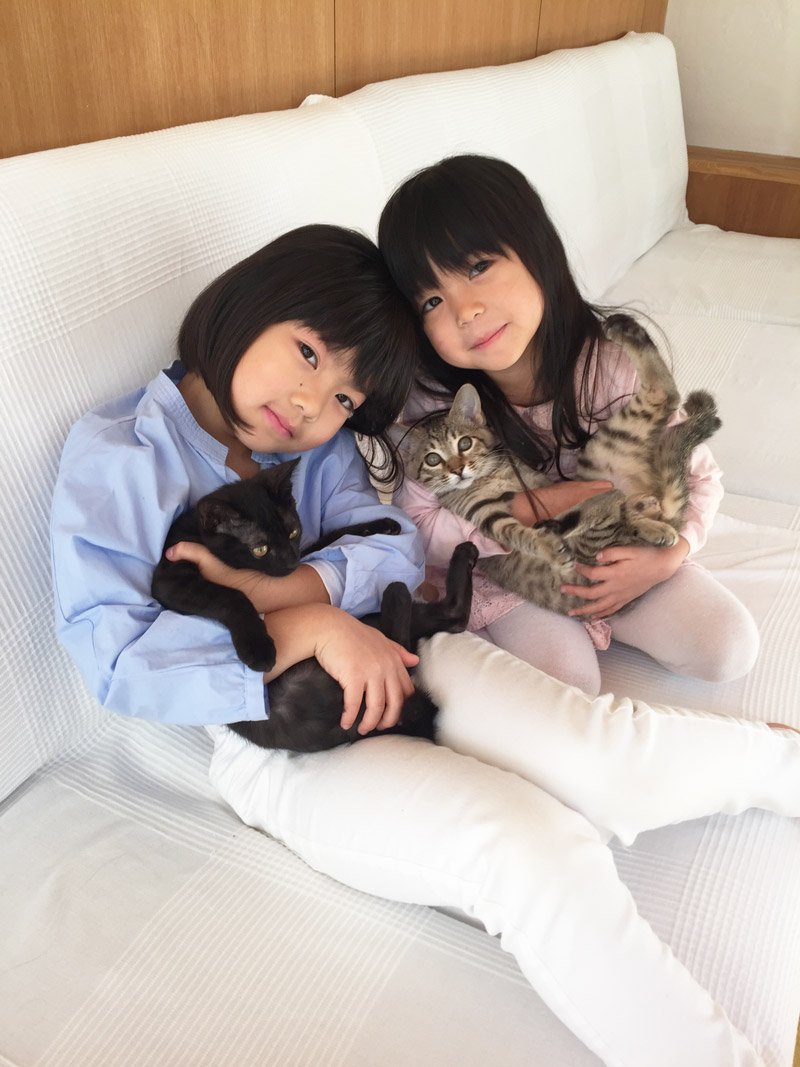 猫を抱いた女の子