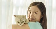 ネコの腎臓病治療薬に2億円超！寄付サイトに集まる愛猫家の熱すぎる思い