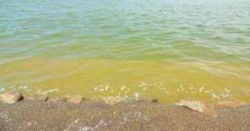 水が汚い海水浴場が多い都道府県ランキング2026 3位愛知、2位神奈川、2年連続の1位は?